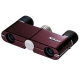 4x10DCF RED